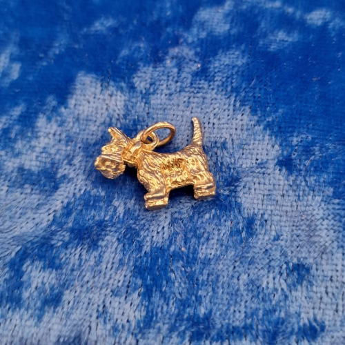 Charm Scottish Terrier