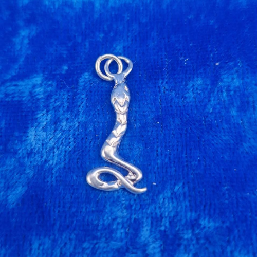 Charm Snake
